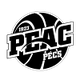 PEAC佩奇女篮logo