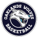 奥克兰狼logo