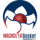 堪波巴索女篮logo