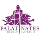 达勒姆普法尔茨女篮logo