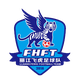 云南飞虎logo