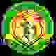 帕拉库迪纳摩logo