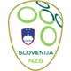 斯洛文尼亚U21logo