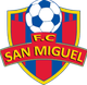圣米格尔博钦logo