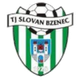 霍尔尼布里扎logo