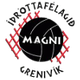 马格尼logo