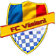 瓦斯尼logo
