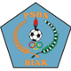 PSBS巴克伦佛logo