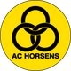 霍森斯后备队logo