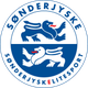 桑德捷斯基后备队logo