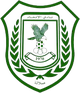伊蒂哈德塞拉莱logo
