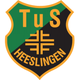 荷林根logo