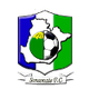 松索纳特女足logo