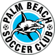 棕榈滩鲨鱼logo