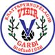维迪尔logo