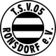 龙斯多夫logo