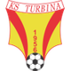 图尔维纳策里克logo