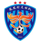 凤凰村足球队logo