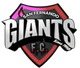 圣费尔南多巨人队logo