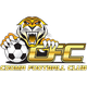 古玛老虎logo