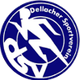 SV德莱盖尔logo
